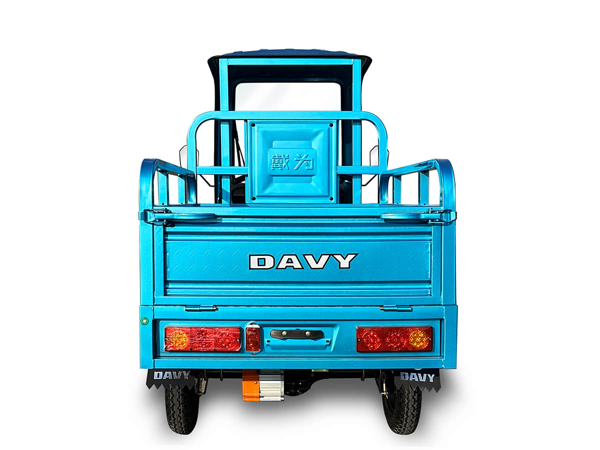 Globefish Series Electric Tricycle Dh-113