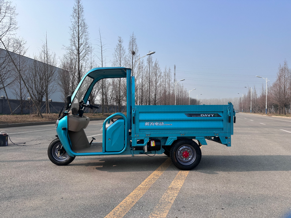 Electric Cargo Passenger Tricycle with dumping with 1000W Motor （DH-216-X）