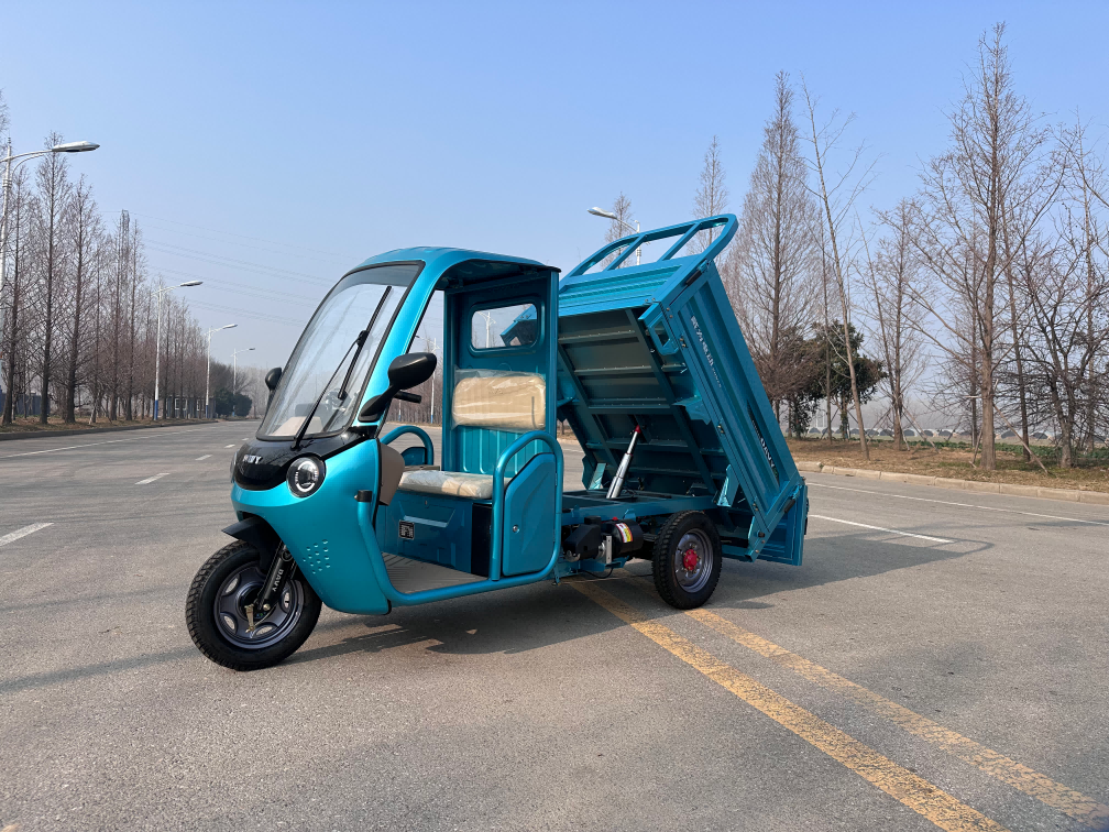 Electric Cargo Passenger Tricycle with dumping with 1000W Motor （DH-216-X）