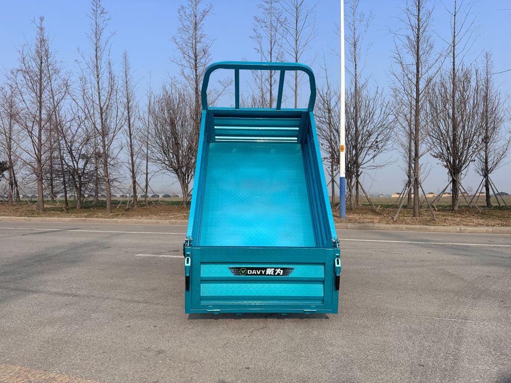 Electric Cargo Passenger Tricycle with dumping with 1000W Motor （DH-216-X）