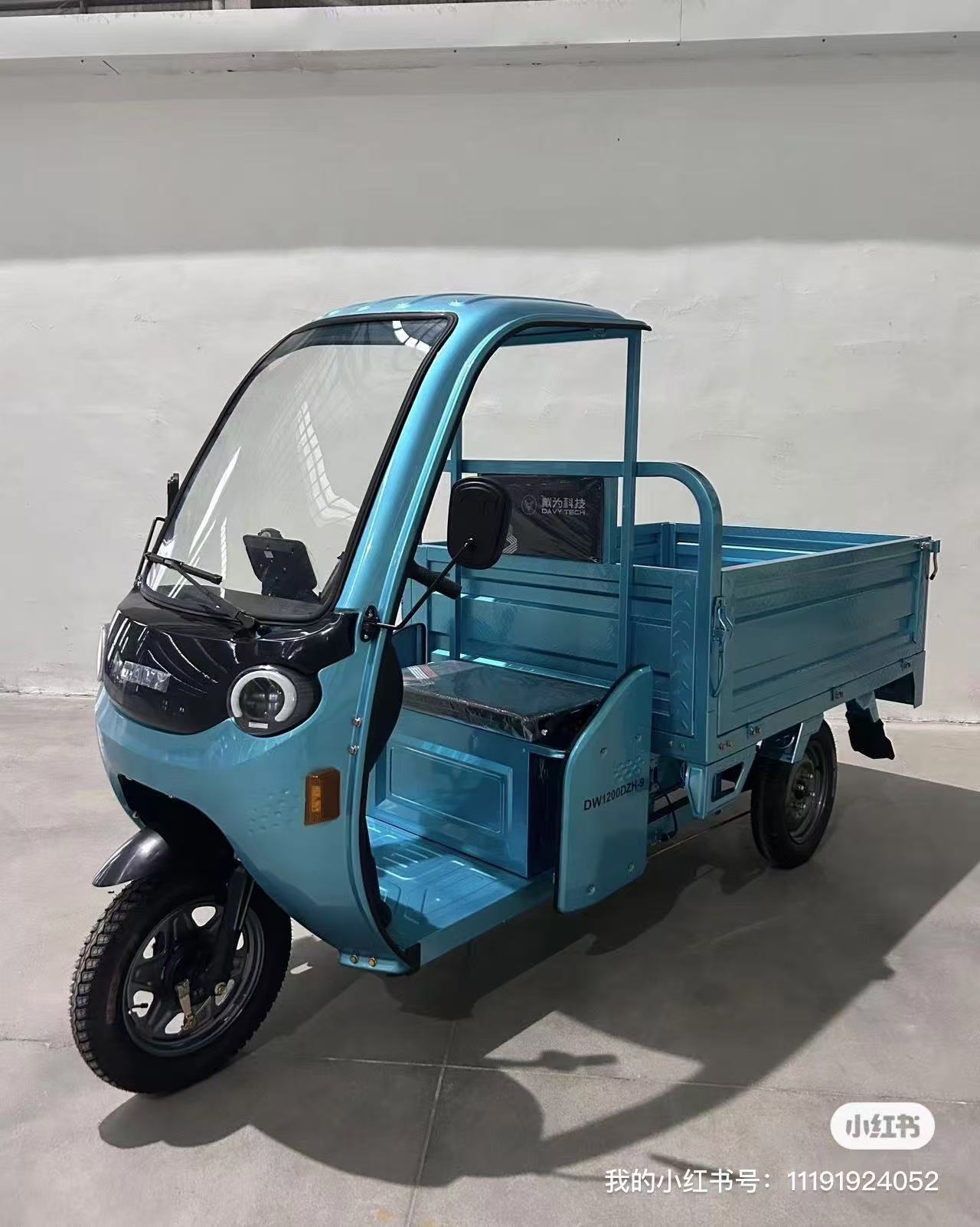 Electric Cargo Passenger Tricycle with  1000W Motor （DH-116）