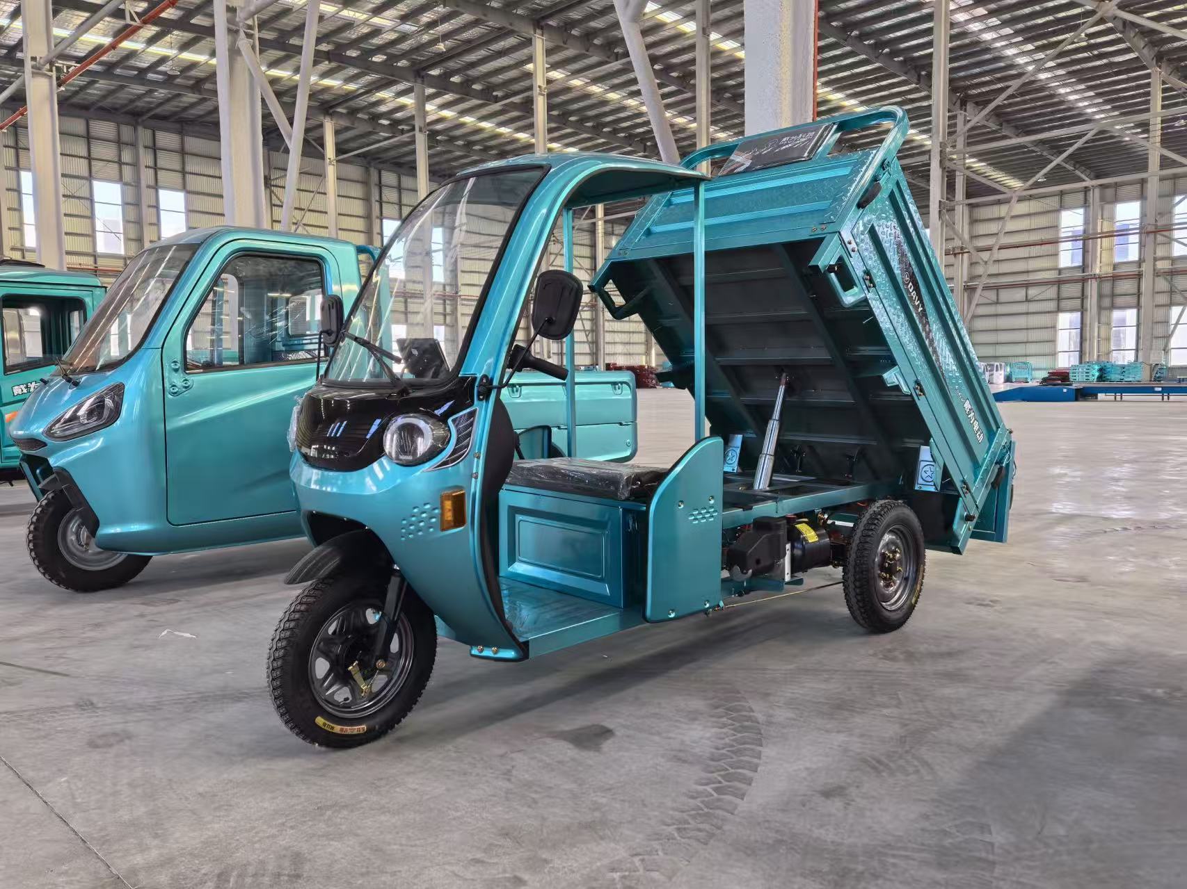 Electric Cargo Passenger Tricycle with  1000W Motor with dumping （DH-116-X）