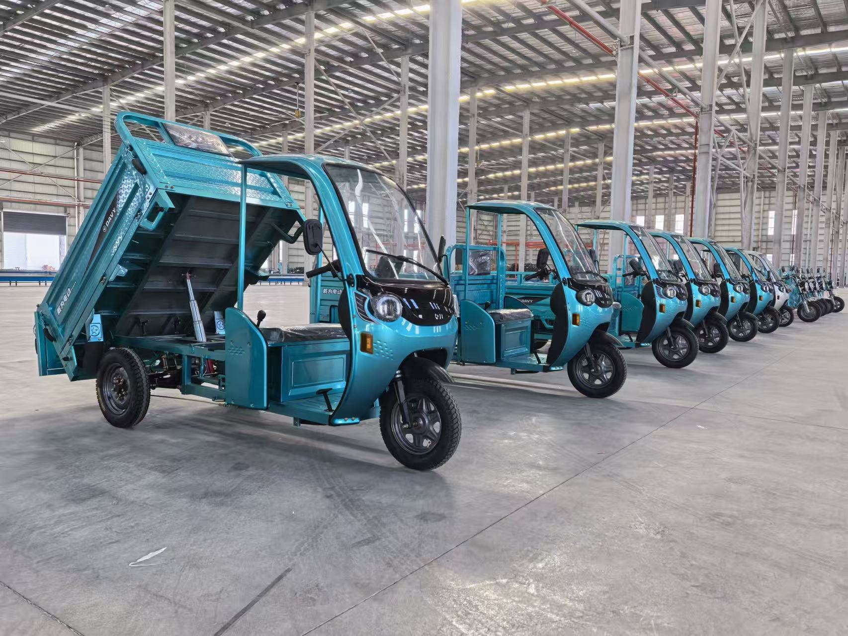 Electric Cargo Passenger Tricycle with  1000W Motor with dumping （DH-116-X）
