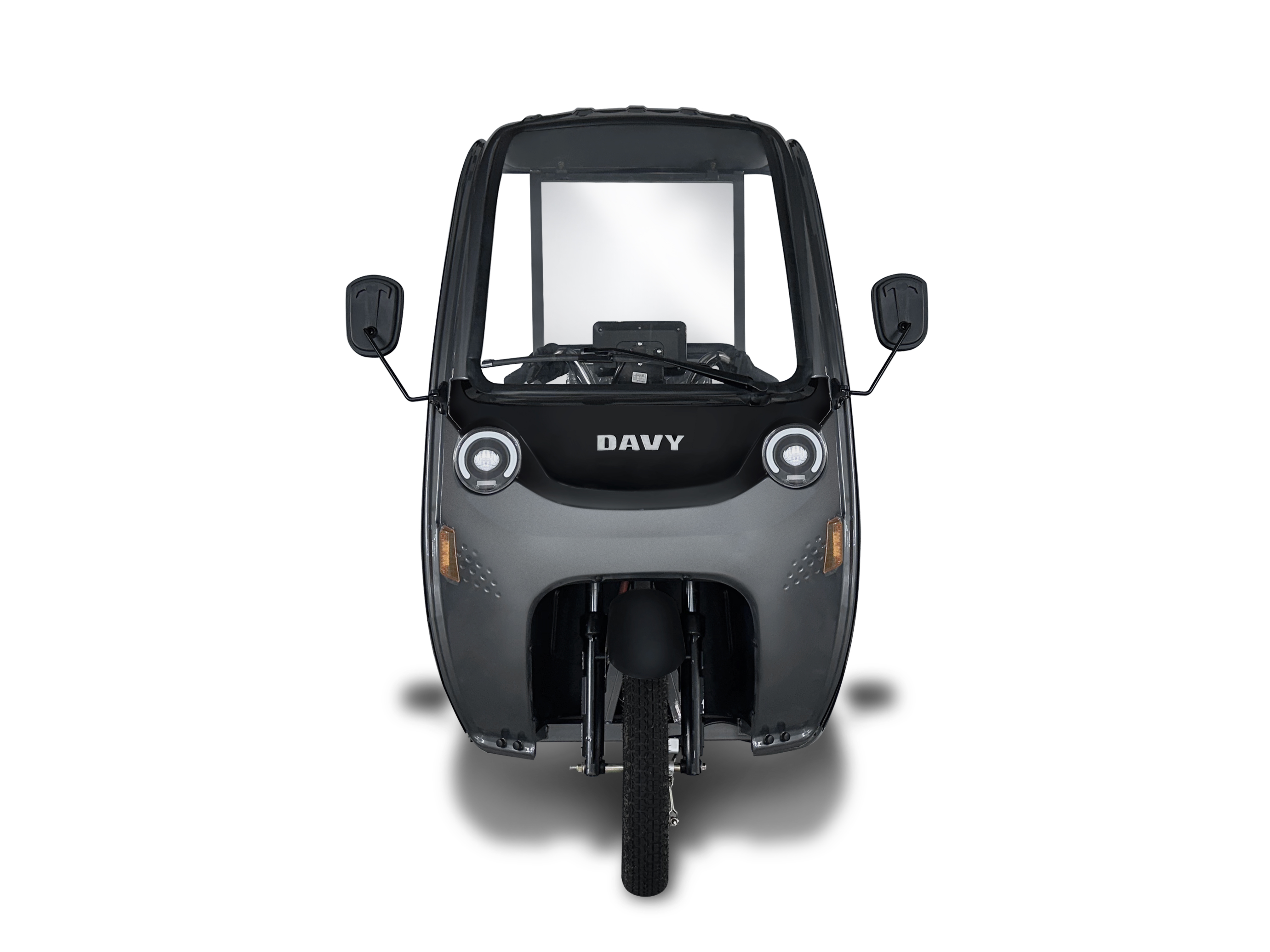 Electric Cargo Passenger Tricycle with 1000W Motor with EEC